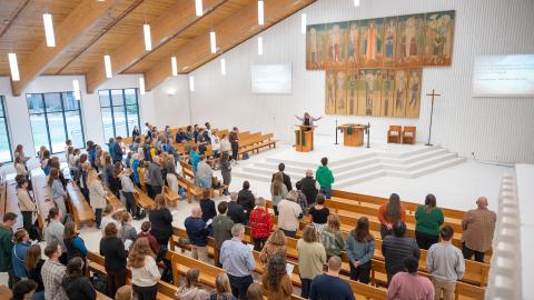 Renovated Sanctuary 2025