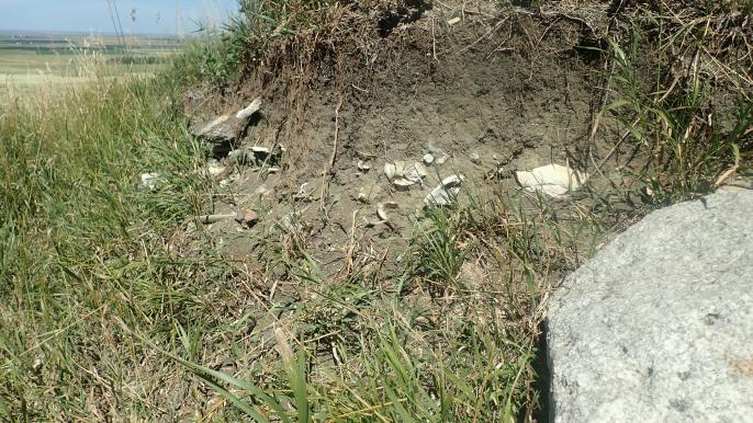 Fawcett Kill Site