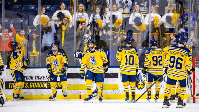 2025-26 Spirit Squad at Viking Hockey