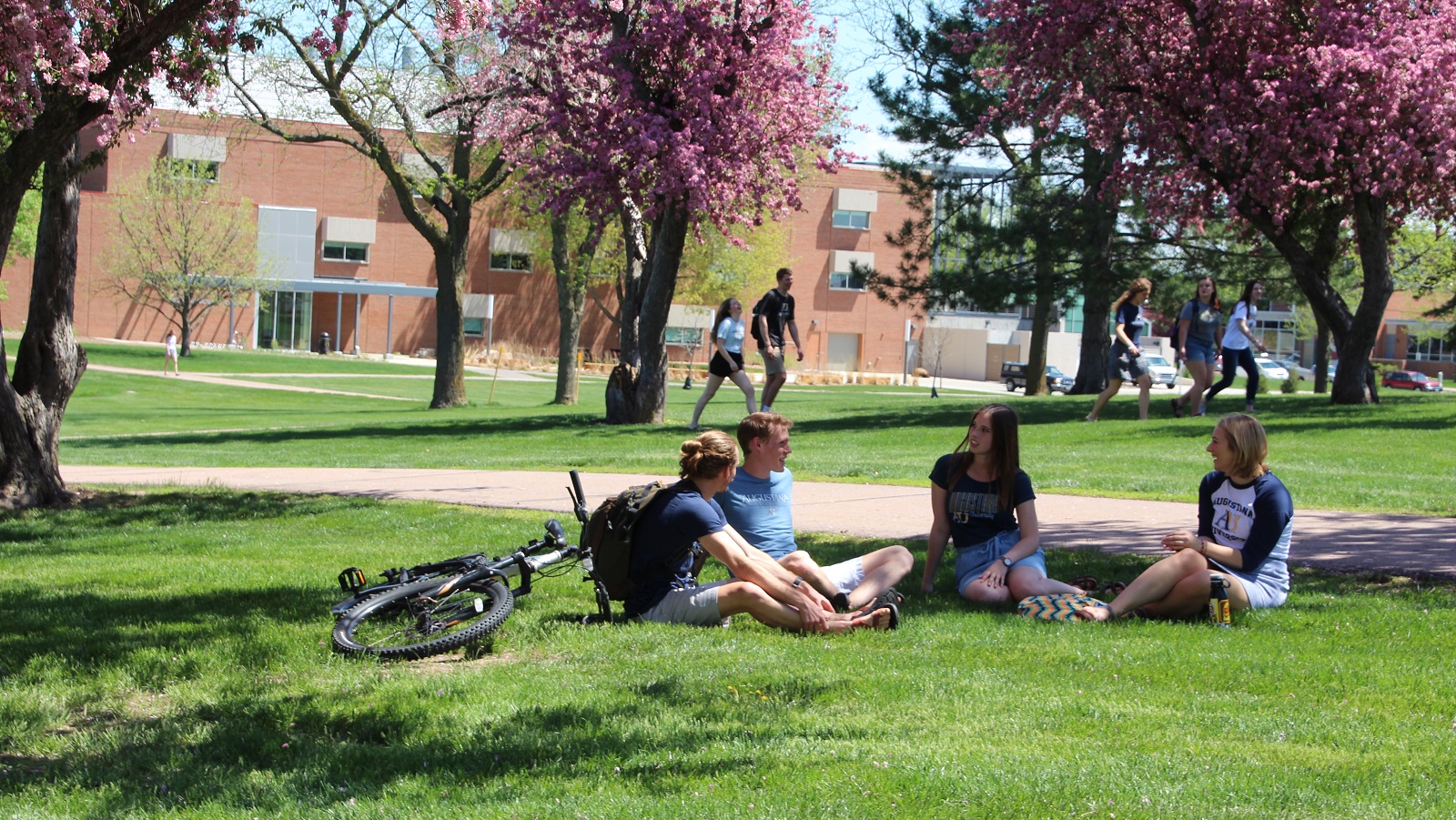 Students sitting on campus green