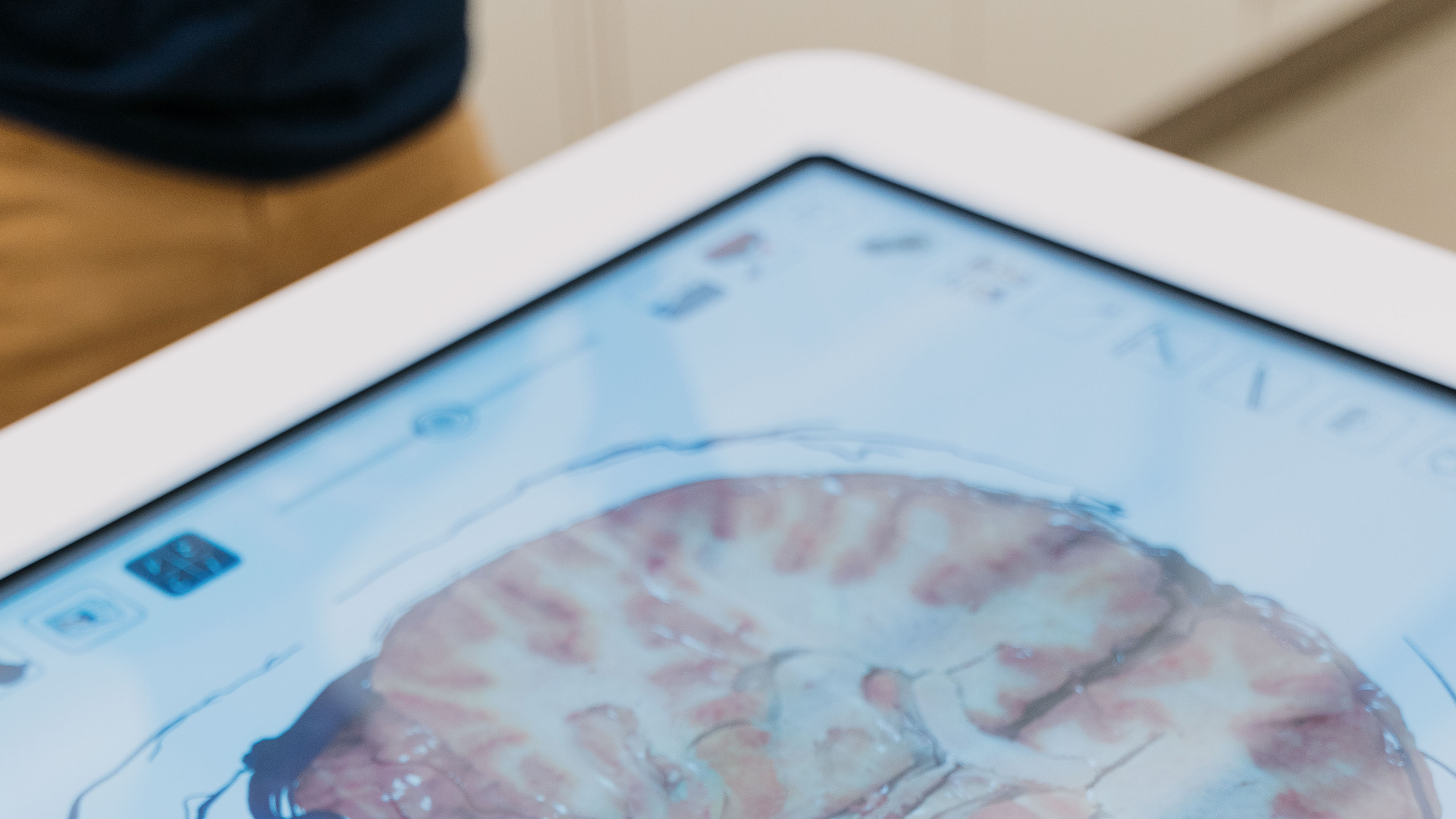 Virtual Cadaver Table